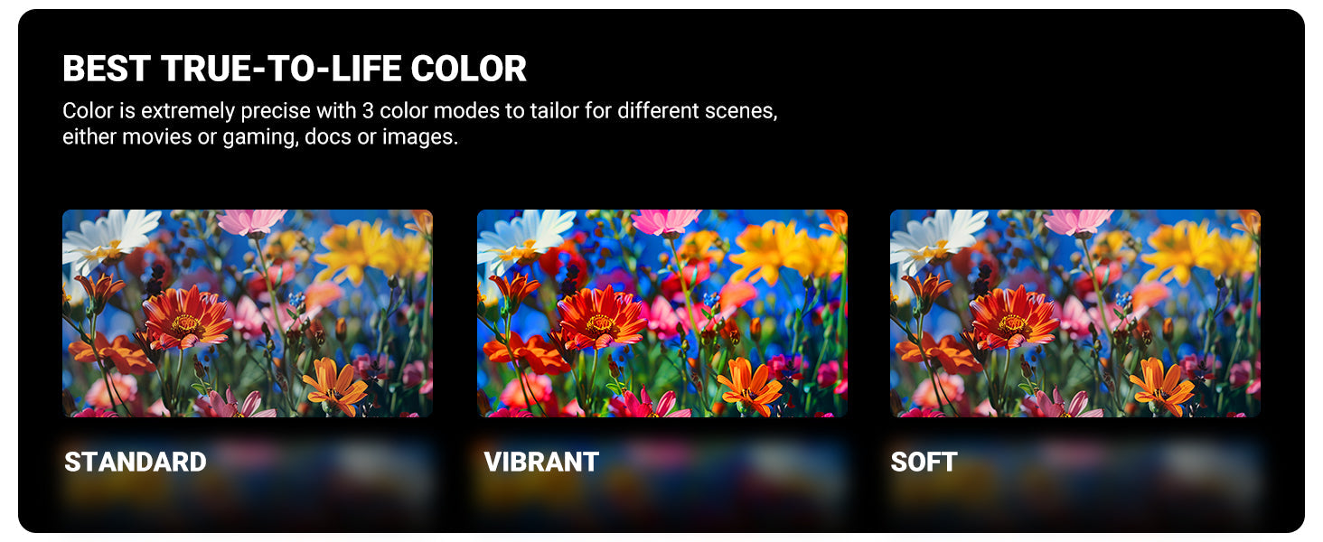 RayNeo augmented reality smart glasses' 3 color modes: standard, vibrant, and soft, with precise color.